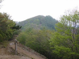 曲ヶ岳北峰