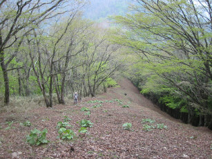 蕎麦粒山下