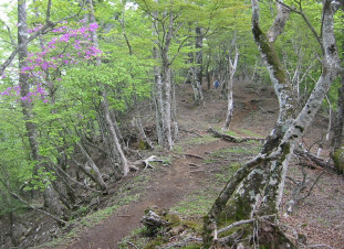 石棚山付近