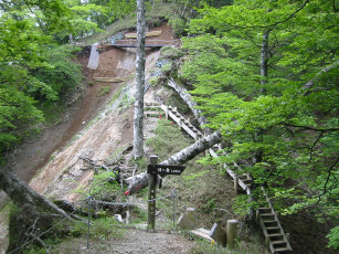 丹沢主稜　金山谷乗越