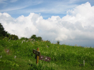 白い雲