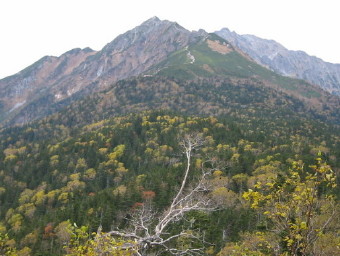 西穂山荘が見える