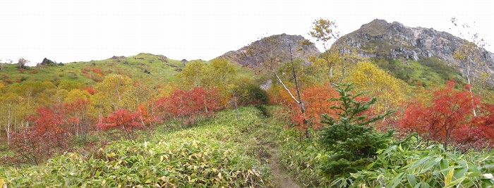 焼岳の紅葉