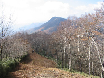 日陰名栗峰