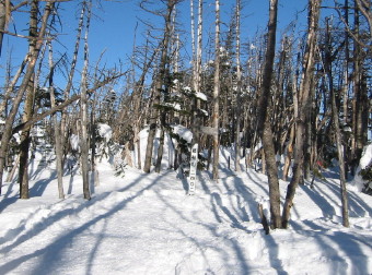 縞枯山