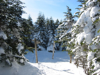 茶臼山　山頂