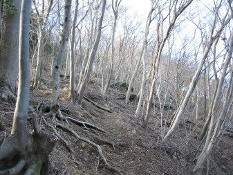 辺室山への道