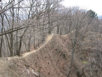 小河内峠への道