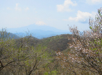 鍋割山と富士山