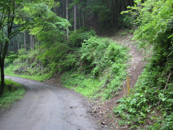 真名井北稜　登山口