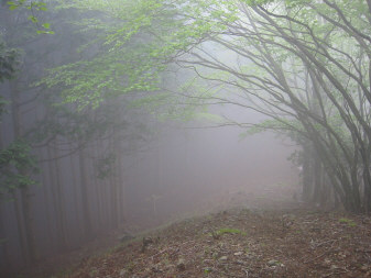 真名井沢の頭