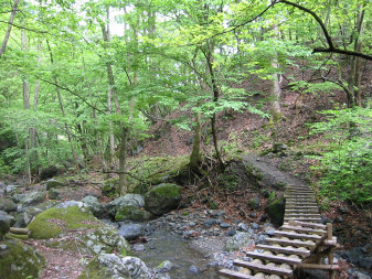 大丹波川沿い