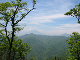 富士山