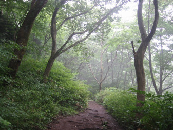 底沢峠近く