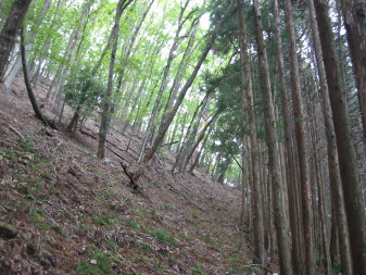 山腹