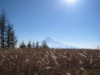 木無山