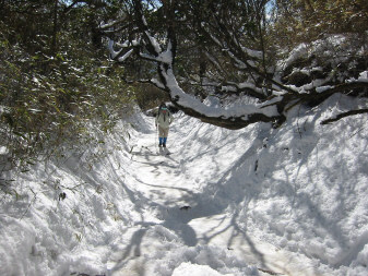 雪の表参道