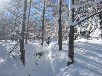 雪道