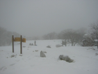 丹沢山