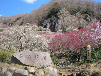 幕山公園