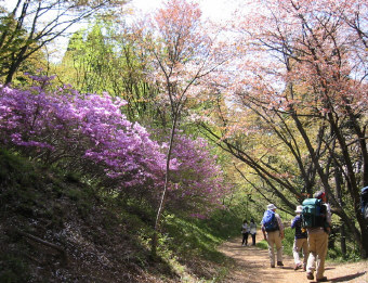 青年の森