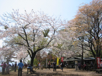 城山