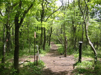 ズナ坂峠