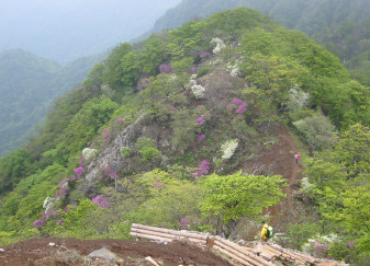 犬越路方面