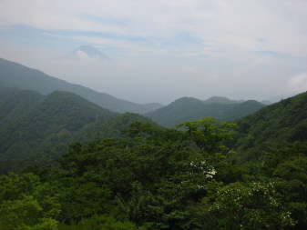 富士山