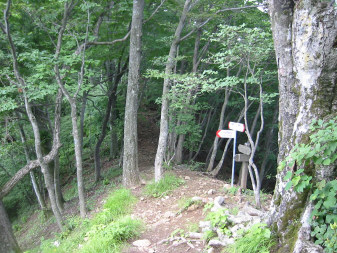 笹子駅分岐