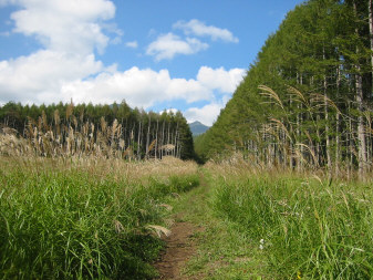 赤岳を振り返りつつ