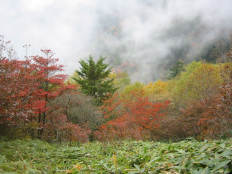 長峰分岐近く