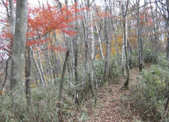 蕎麦粒山への道