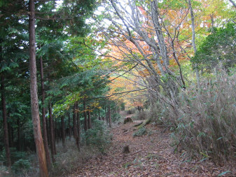 鳥屋戸尾根