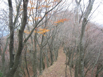 大山北尾根