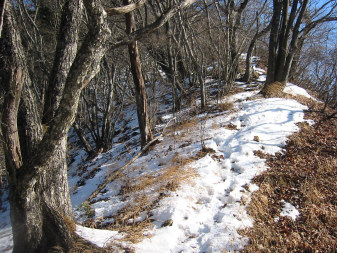 山頂へ