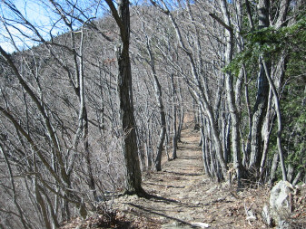 連行峰へ