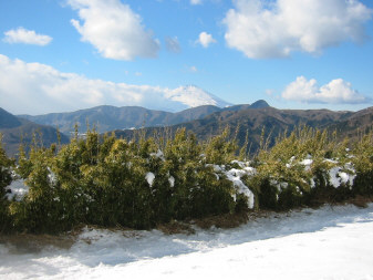 富士山