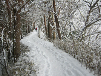 堀山の家へ