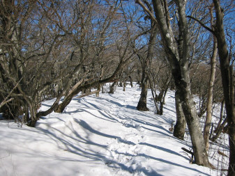 大室山山頂へ