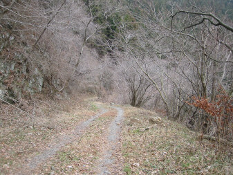 小下沢林道