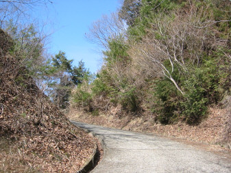 日影沢林道