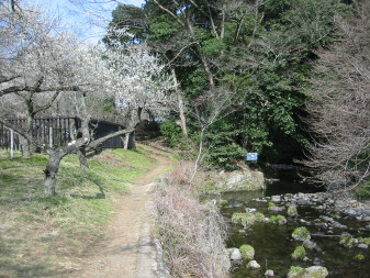 小仏川沿いの道