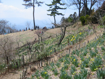 城山