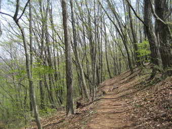 北の登山道