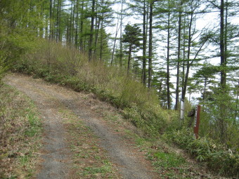 佐野峠