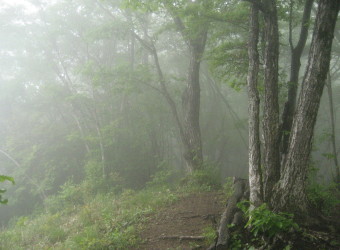 西の麻生山