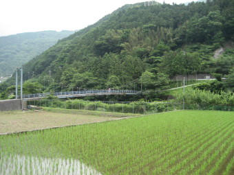 吊り橋