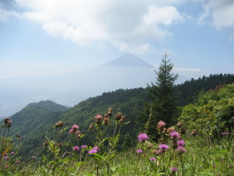 三ッ峠稜線