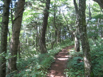 大幡山へ